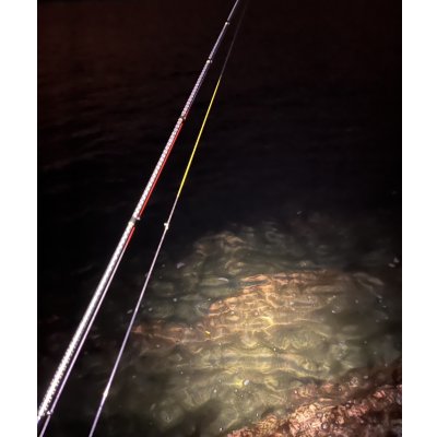 画像8: X8-PE 0.5-210m 【Vertical Eyes】SS×R×Y