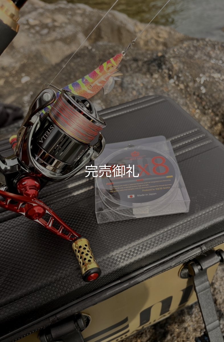 画像2: X8-PE 0.5-210m 【Vertical Eyes】SS×R×Y (2)