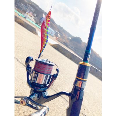 画像6: X8-PE 0.5-210m 【Vertical Eyes】SS×R×Y