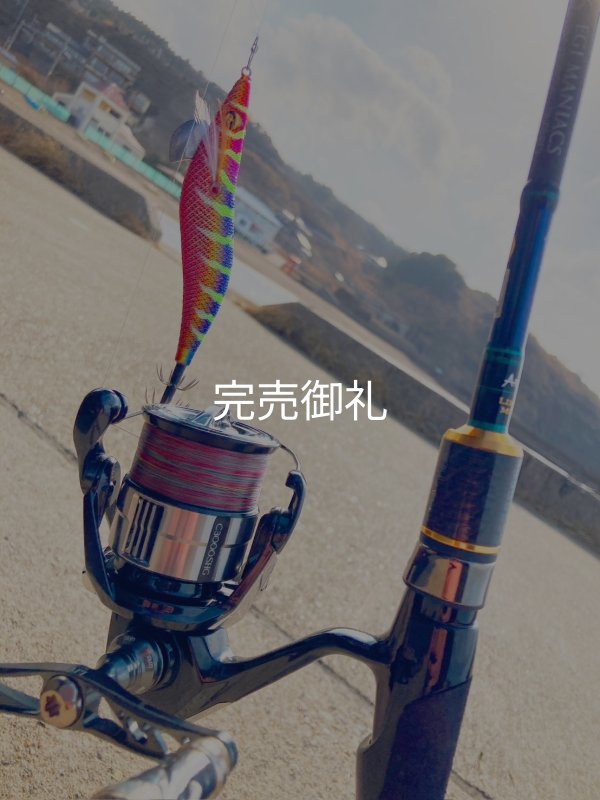 X8-PE 0.5-210m 【Vertical Eyes】SS×R×Y - EGI MANIACS