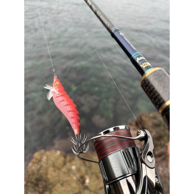 画像5: X8-PE 0.5-210m 【Vertical Eyes】SS×R×Y