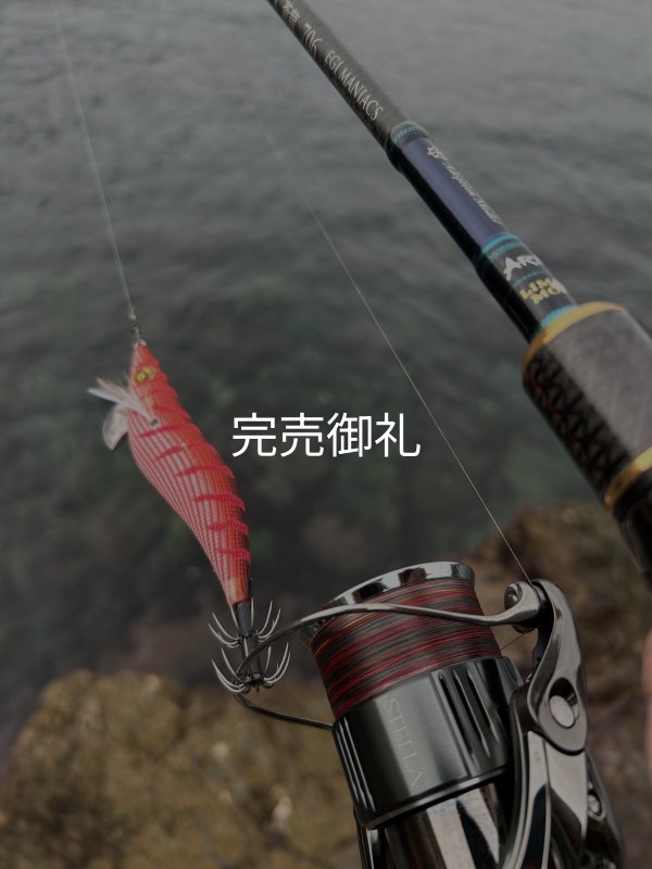 X8-PE 0.5-210m 【Vertical Eyes】SS×R×Y - EGI MANIACS