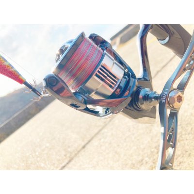 画像7: X8-PE 0.5-210m 【Vertical Eyes】SS×R×Y