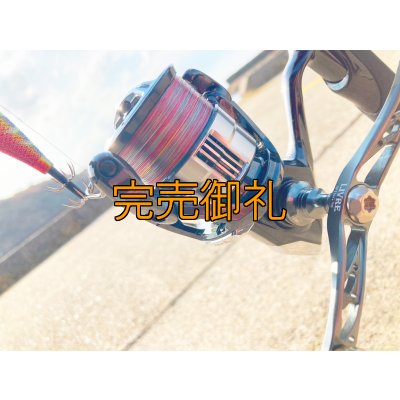 画像7: X8-PE 0.5-210m 【Vertical Eyes】SS×R×Y