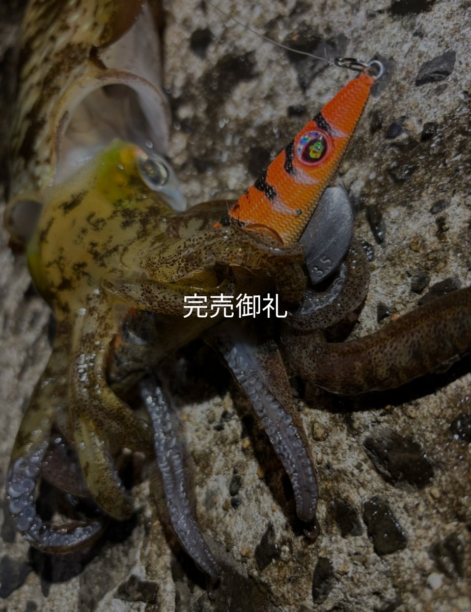 画像10: WILDCHASE 3.0号/雷虎 らいと[監修:山口 譲二] (10)