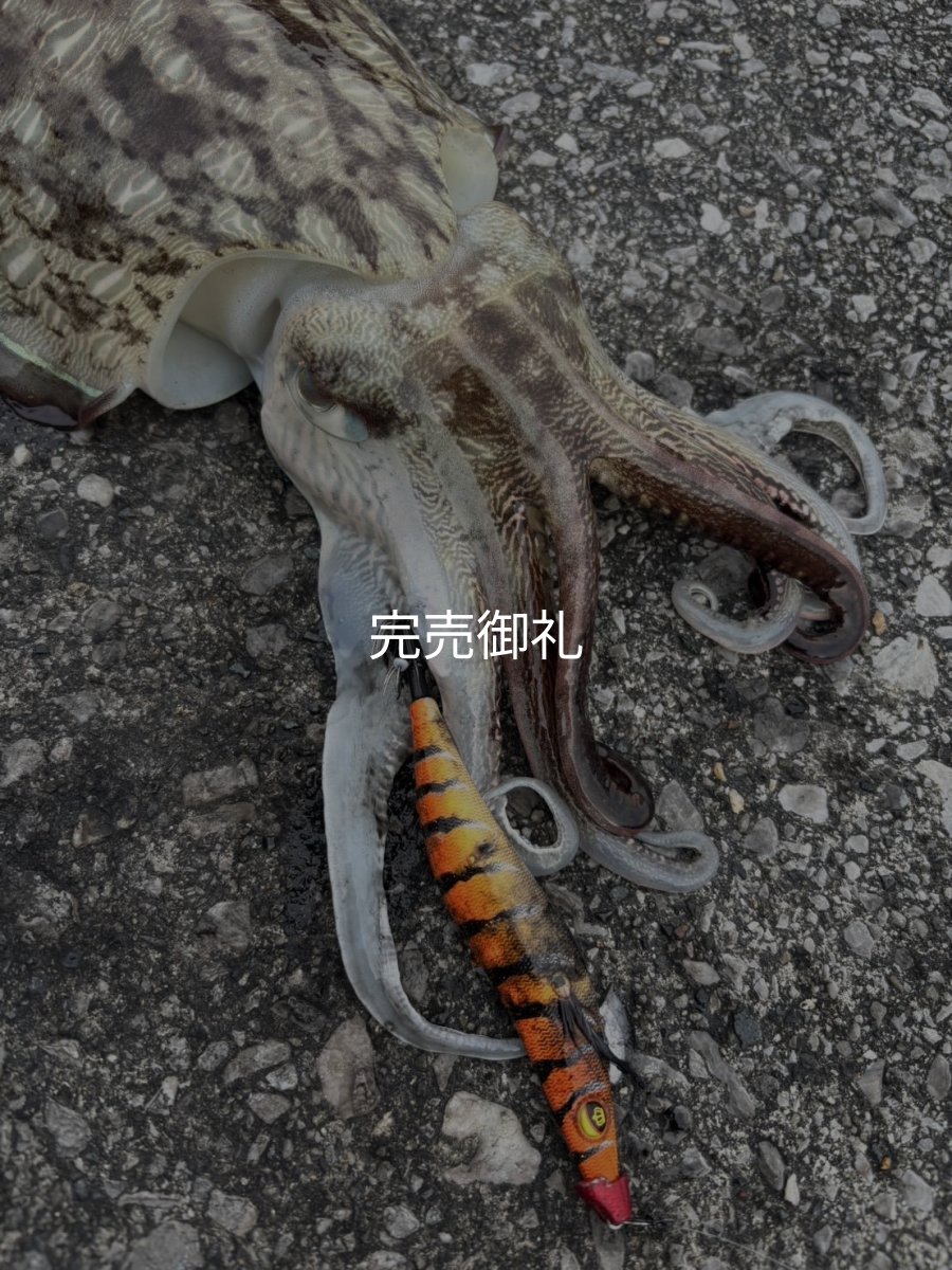 画像15: WILDCHASE 3.0号/雷虎 らいと[監修:山口 譲二] (15)