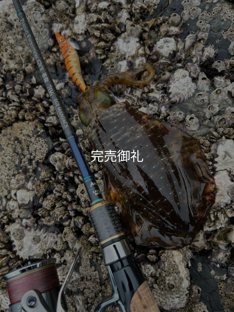 画像14: WILDCHASE 3.0号/雷虎 らいと[監修:山口 譲二] (14)