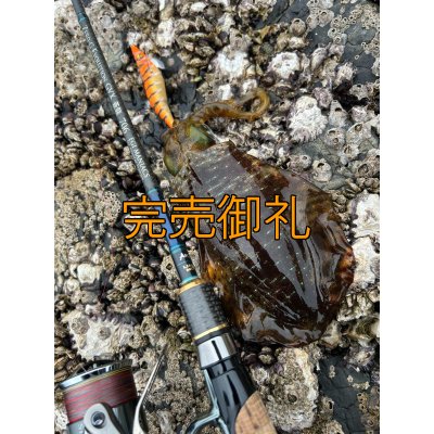 画像14: WILDCHASE 3.0号/雷虎 らいと[監修:山口 譲二]