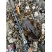 画像14: WILDCHASE 3.5号シャローtune /雷虎 らいと[監修:山口 譲二]