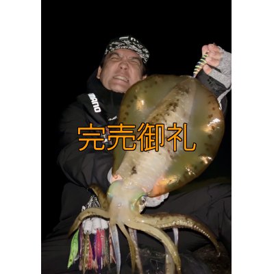 画像2: WILDCHASE 3.5号シャローtune /四雷 しらい[監修:藤原 弘貴]