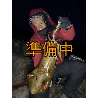 WILDCHASE 3.0号 /四雷 しらい[監修:藤原 弘貴]
