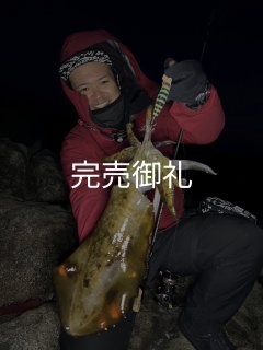 エギマニ商品 - EGI MANIACS