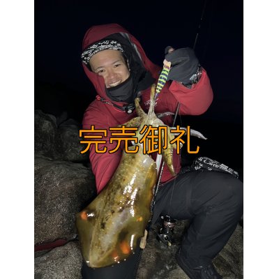 画像1: WILDCHASE 3.5号シャローtune /四雷 しらい[監修:藤原 弘貴]