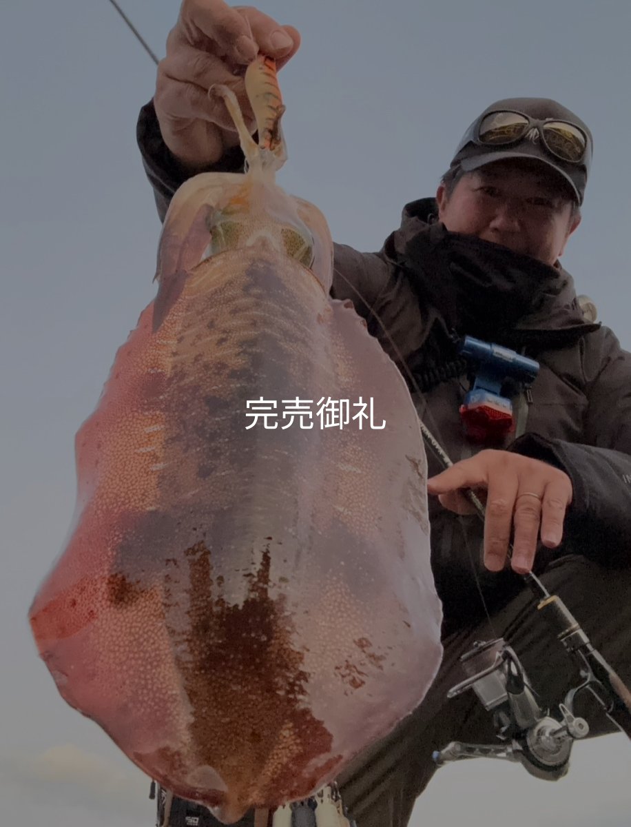 画像7: WILDCHASE 3.0号/雷虎 らいと[監修:山口 譲二] (7)