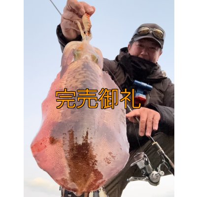 画像7: WILDCHASE 3.0号/雷虎 らいと[監修:山口 譲二]