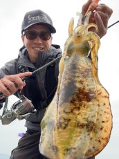 画像4: WILDCHASE 3.0号/雷虎 らいと[監修:山口 譲二] (4)