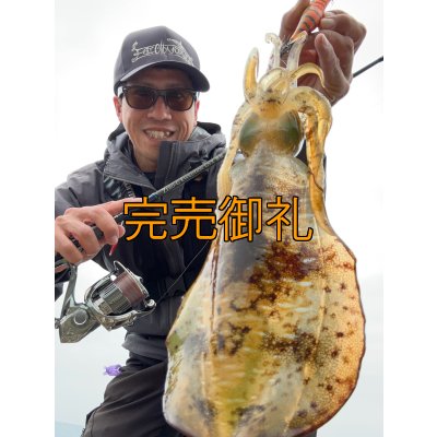 画像4: WILDCHASE 3.0号/雷虎 らいと[監修:山口 譲二]