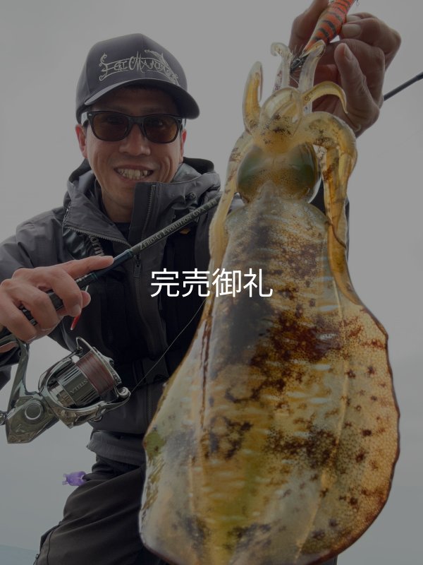 フィッシング スクイッドマニア ワイルドチェイス3.5 シャローチューン