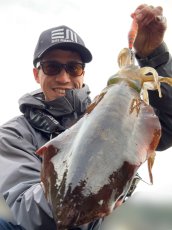画像6: WILDCHASE 3.0号/雷虎 らいと[監修:山口 譲二] (6)