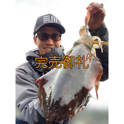 画像6: WILDCHASE 3.0号/雷虎 らいと[監修:山口 譲二]