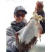 画像6: WILDCHASE 3.5号シャローtune /雷虎 らいと[監修:山口 譲二]