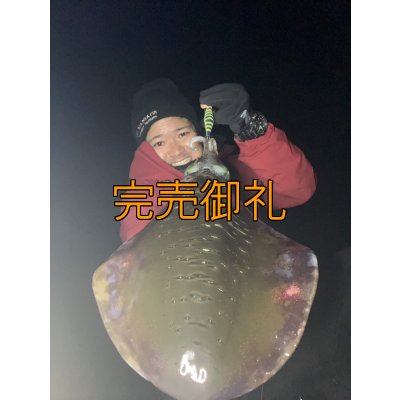 画像6: WILDCHASE 3.0号 /四雷 しらい[監修:藤原 弘貴]