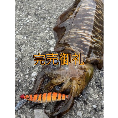 画像13: WILDCHASE 3.0号/雷虎 らいと[監修:山口 譲二]