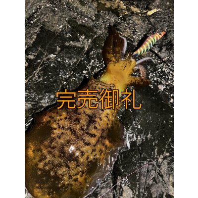 画像10: WILDCHASE 3.0号 /四雷 しらい[監修:藤原 弘貴]