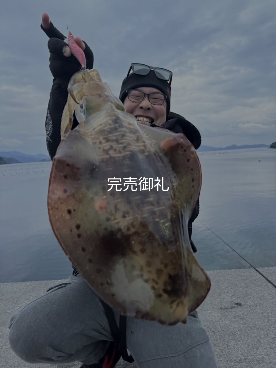 画像1: WILDCHASE 3.0号 /火雷 ほのいかずち[監修:新井 和也] (1)