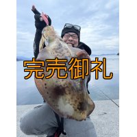WILDCHASE 3.5号シャローtune /火雷 ほのいかずち[監修:新井 和也]