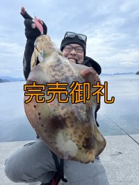 WILDCHASE 3.5号シャローtune /火雷 ほのいかずち[監修:新井 和也]