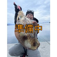 WILDCHASE 3.0号 /火雷 ほのいかずち[監修:新井 和也]