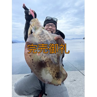 画像1: WILDCHASE 3.5号シャローtune /火雷 ほのいかずち[監修:新井 和也]