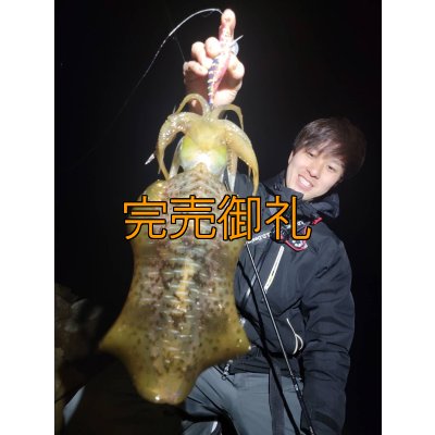 画像5: WILDCHASE 3.0号 /四雷 しらい[監修:藤原 弘貴]