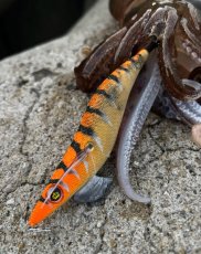 画像9: WILDCHASE 3.0号/雷虎 らいと[監修:山口 譲二] (9)