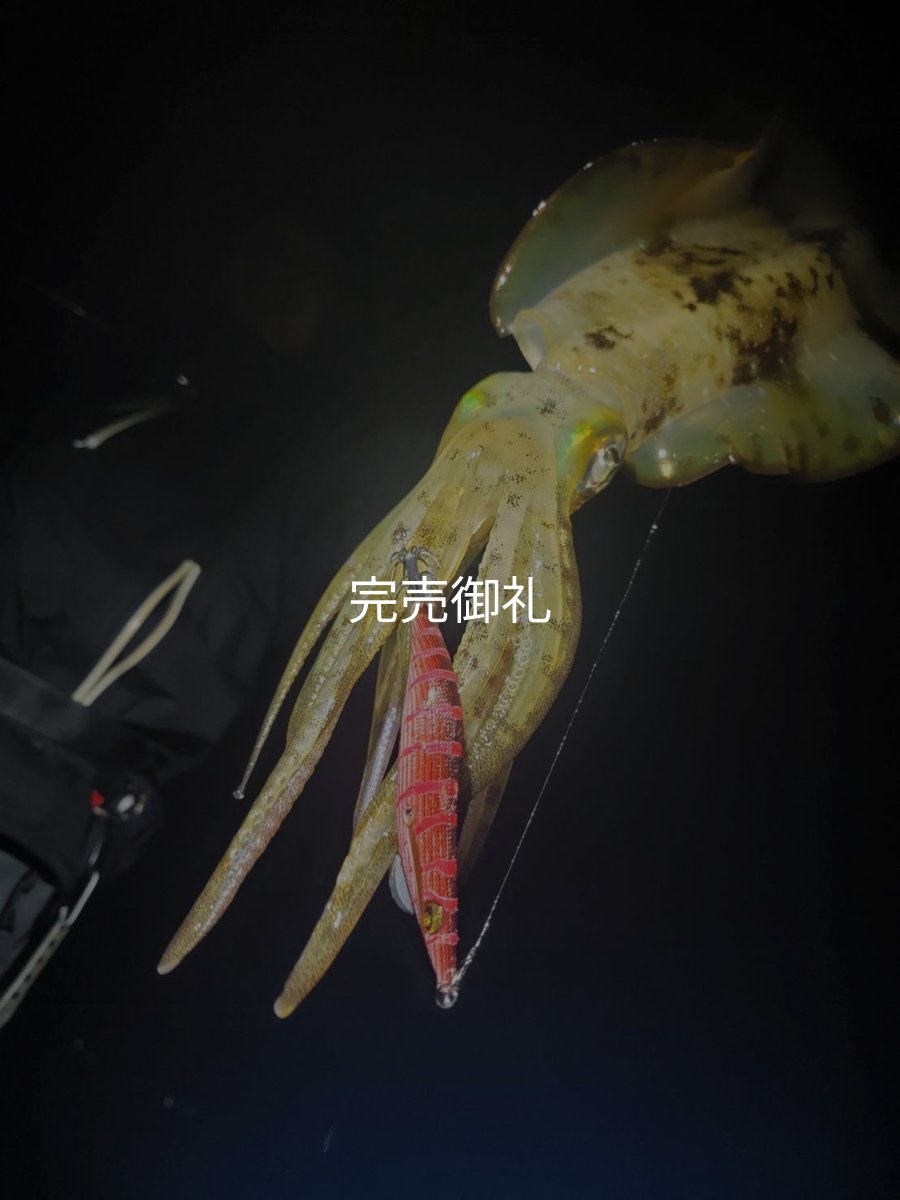 画像11: WILDCHASE 3.0号 /火雷 ほのいかずち[監修:新井 和也] (11)