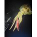 画像11: WILDCHASE 3.5号シャローtune /火雷 ほのいかずち[監修:新井 和也]
