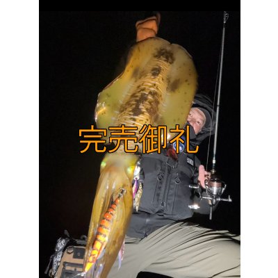 画像8: WILDCHASE 3.0号/雷虎 らいと[監修:山口 譲二]