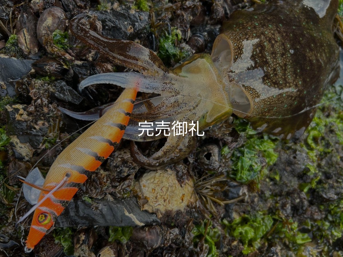 画像11: WILDCHASE 3.0号/雷虎 らいと[監修:山口 譲二] (11)