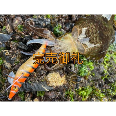 画像11: WILDCHASE 3.0号/雷虎 らいと[監修:山口 譲二]