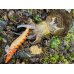 画像11: WILDCHASE 3.5号シャローtune /雷虎 らいと[監修:山口 譲二]
