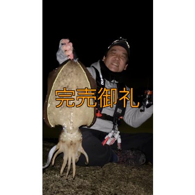 画像4: WILDCHASE 3.5号シャローtune /火雷 ほのいかずち[監修:新井 和也]