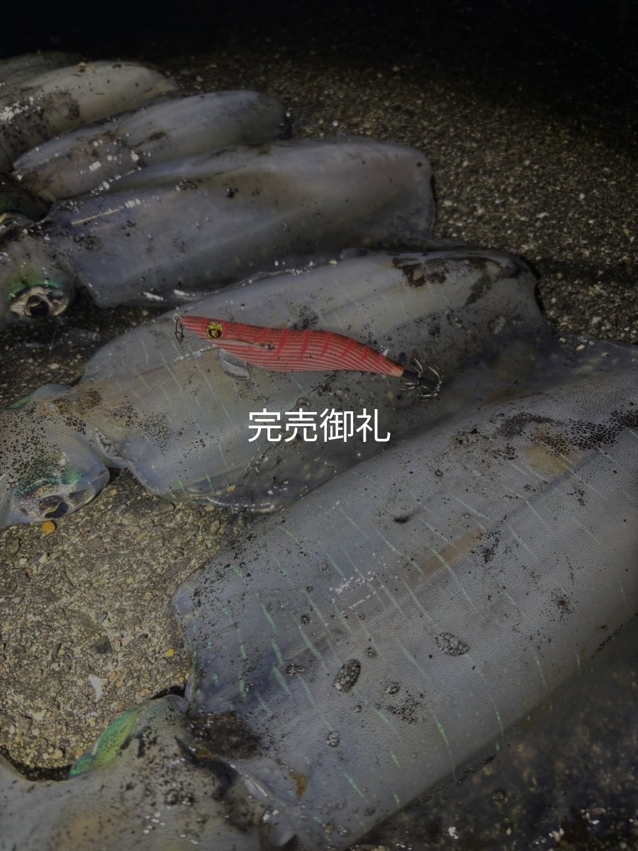画像14: WILDCHASE 3.0号 /火雷 ほのいかずち[監修:新井 和也] (14)
