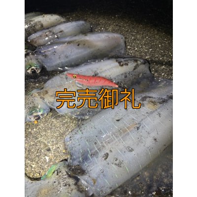 画像14: WILDCHASE 3.5号シャローtune /火雷 ほのいかずち[監修:新井 和也]