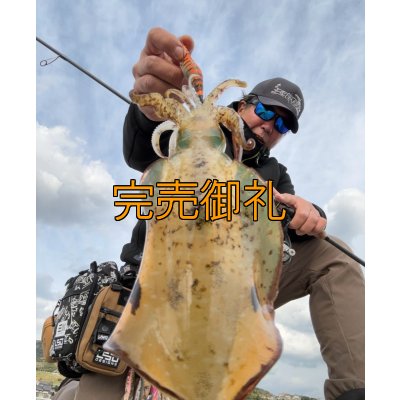 画像5: WILDCHASE 3.0号/雷虎 らいと[監修:山口 譲二]