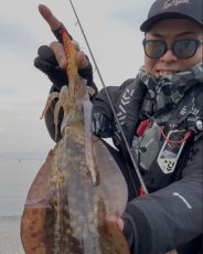 画像3: WILDCHASE 3.0号/雷虎 らいと[監修:山口 譲二] (3)