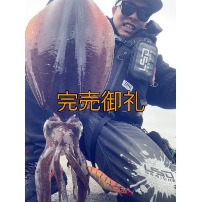 画像2: WILDCHASE 3.5号シャローtune /雷虎 らいと[監修:山口 譲二]