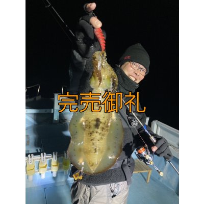 画像9: WILDCHASE 3.5号シャローtune /火雷 ほのいかずち[監修:新井 和也]