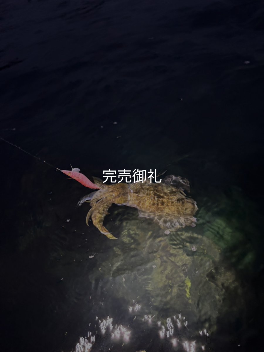 画像12: WILDCHASE 3.0号 /火雷 ほのいかずち[監修:新井 和也] (12)