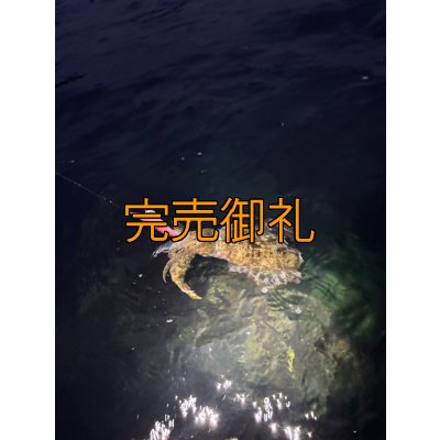 画像12: WILDCHASE 3.5号シャローtune /火雷 ほのいかずち[監修:新井 和也]